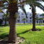 Marhaba Club